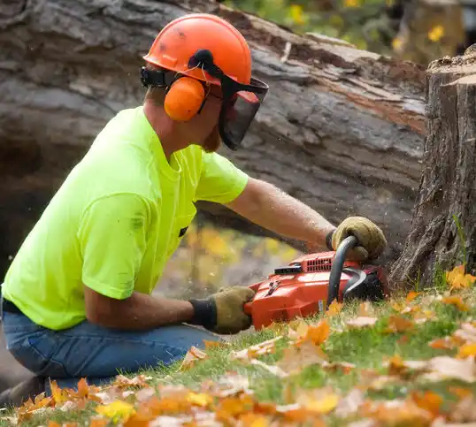 tree services Joppatowne